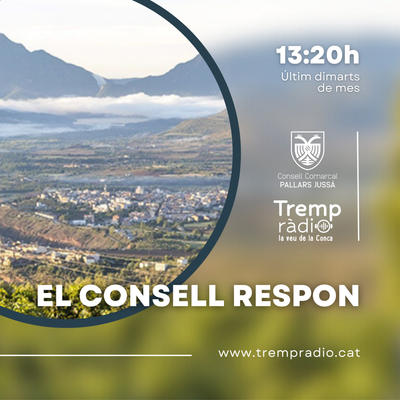 El Consell Respon