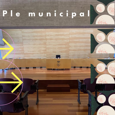 Ple municipal