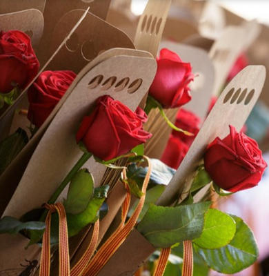 Programació especial de Sant Jordi