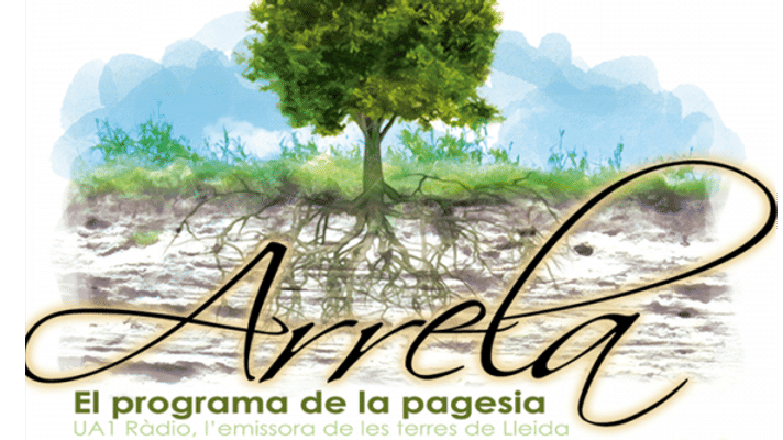 Arrela