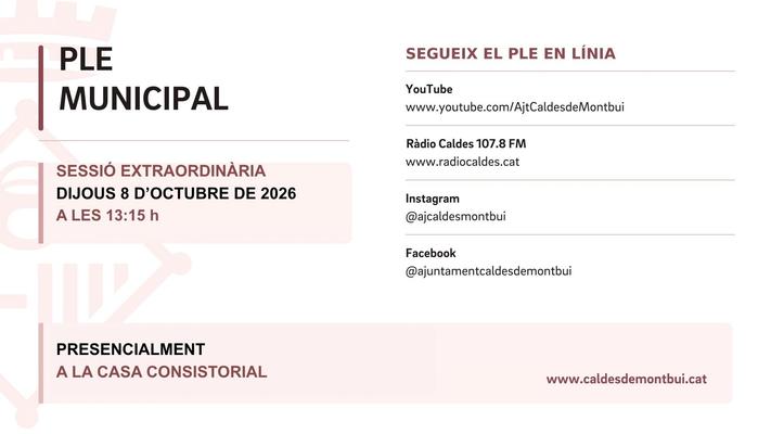 Ple Municipal extraodinari