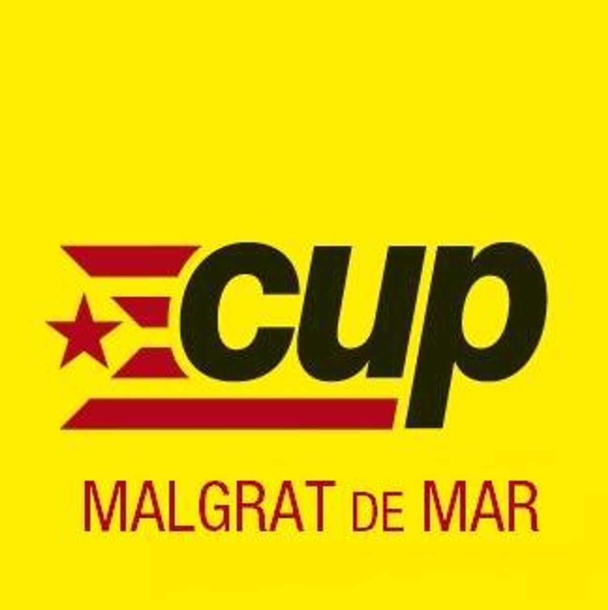 La CUP lamenta l'actitud del govern davant les dues mocions que va presentar al darrer ple