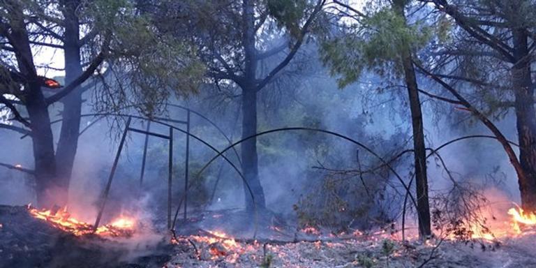 L'incendi d'un hivernacle al camí de les mines de Can Palomeres crema 450 metres quadrats de bosc