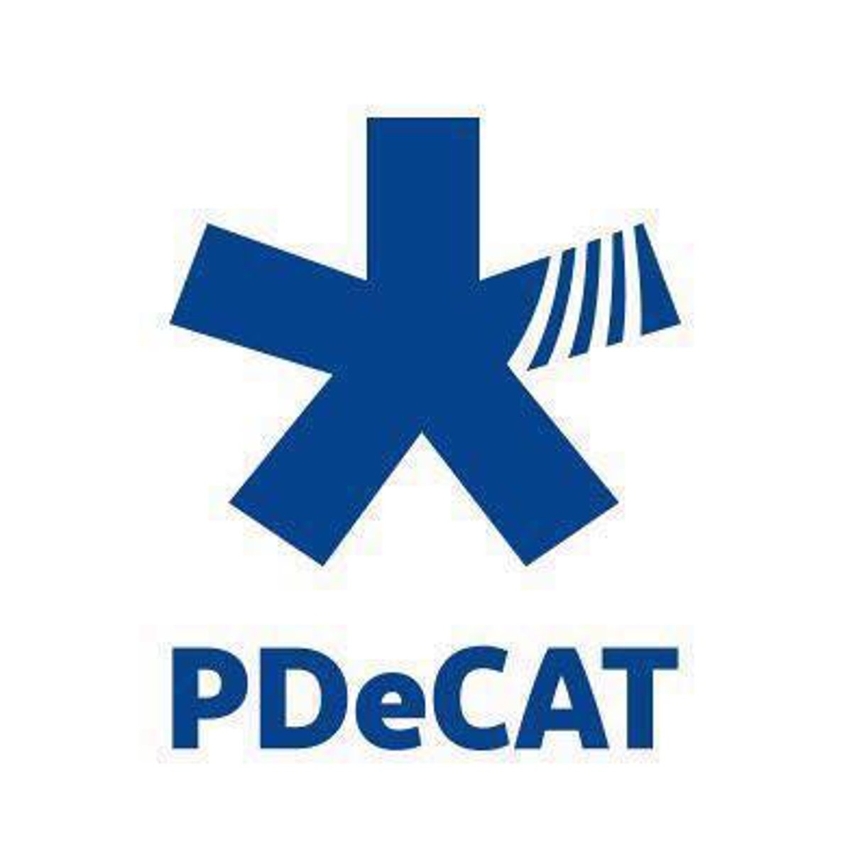 El PDECAT presenta al·legacions al pressupost 2017