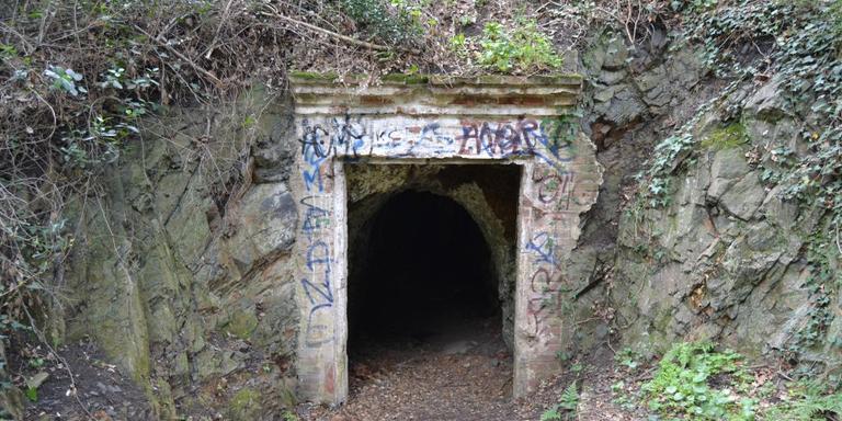 L'Ajuntament catalogarà els vestigis de les Mines de Can Palomeres