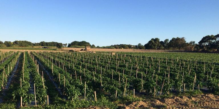 Primeres passes per a la creació de l'Espai Agrari de la Baixa Tordera
