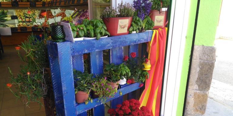 [ÀUDIO] En marxa el 'Concurs d'Aparadors florits' d'enguany, amb 17 establiments participants