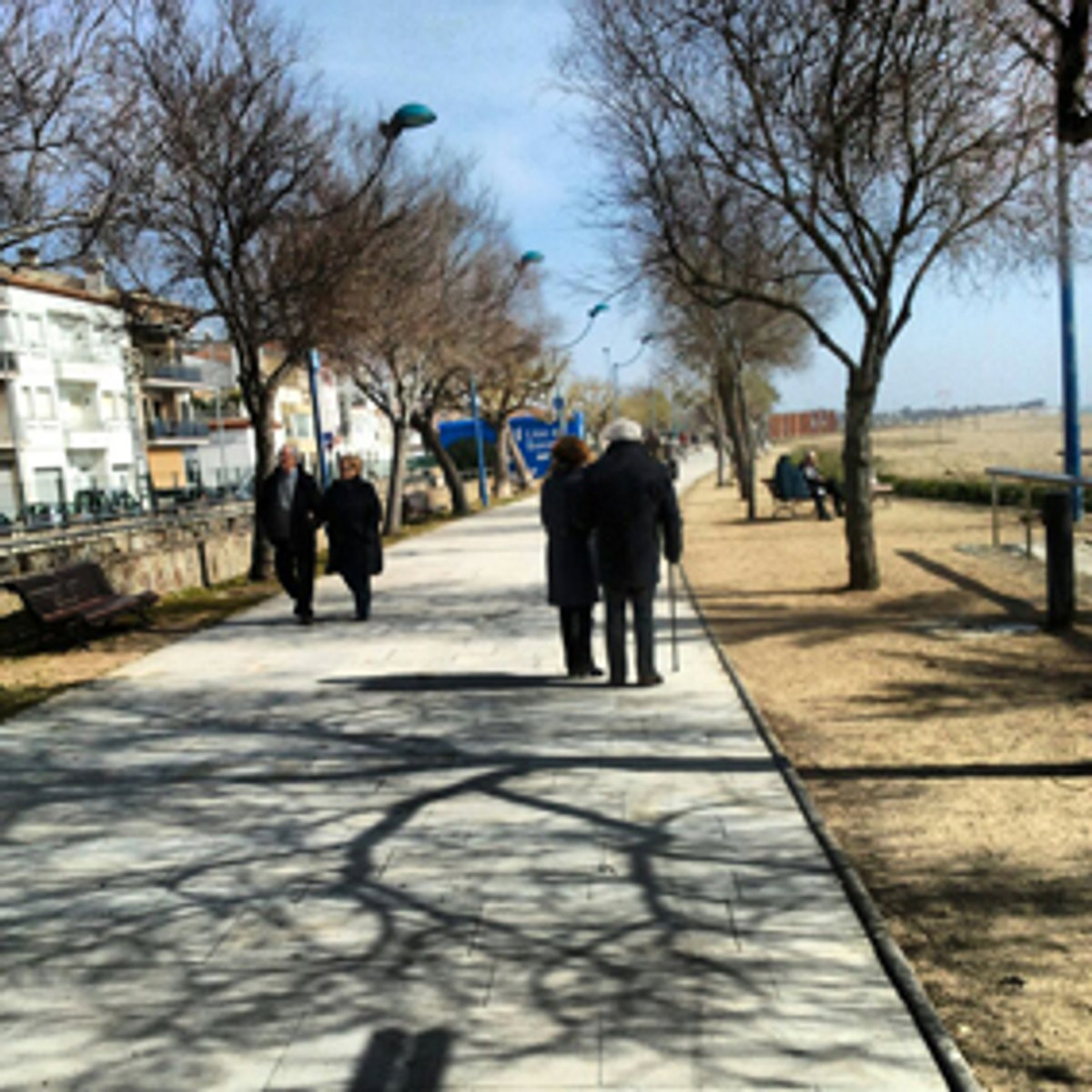Comencen els treballs per millorar l'arbrat del Passeig de Mar