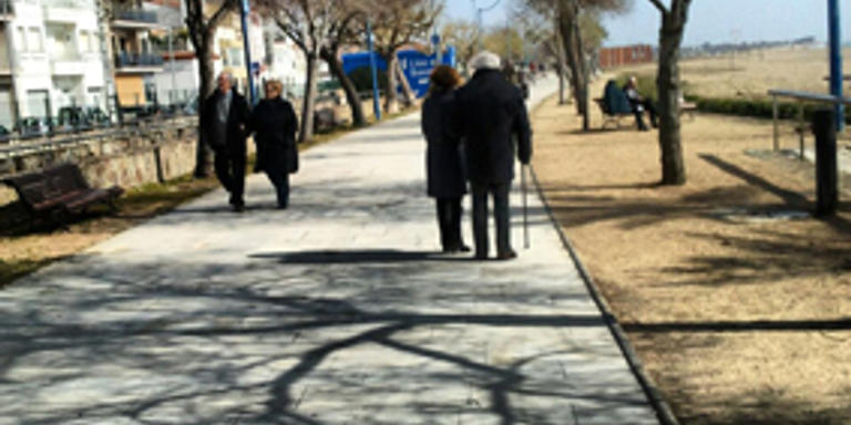 Comencen els treballs per millorar l'arbrat del Passeig de Mar