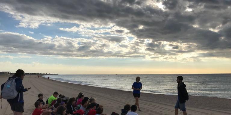 [ÀUDIO] Els alumnes de 6è de Primària descobreixen la fauna i flora de les roques del mar malgratenc