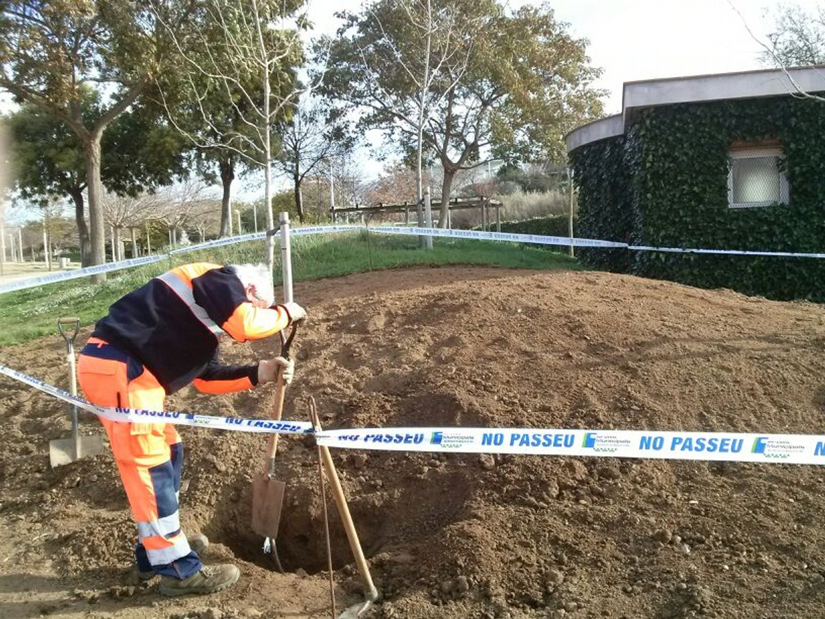 Planten més varietat d'espècies arbustives al Parc Francesc Macià per millorar el control de plagues
