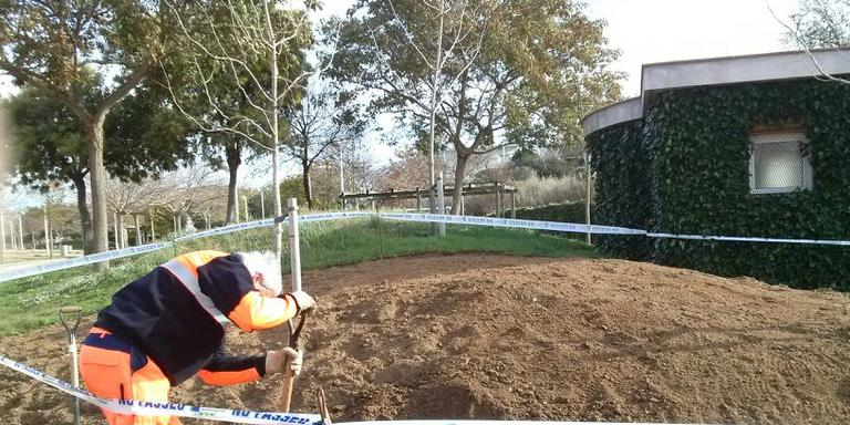 Planten més varietat d'espècies arbustives al Parc Francesc Macià per millorar el control de plagues