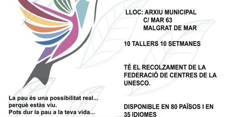 [ÀUDIO] Nou taller sobre el Programa d'Educació per la Pau