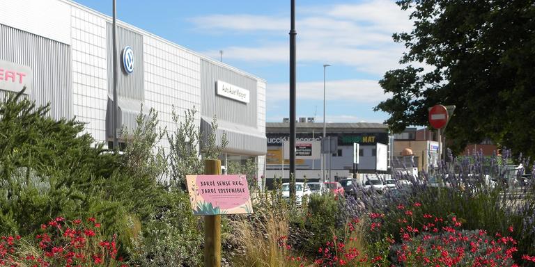 [ÀUDIO] Espais Verds aposta pels jardins sense reg al municipi