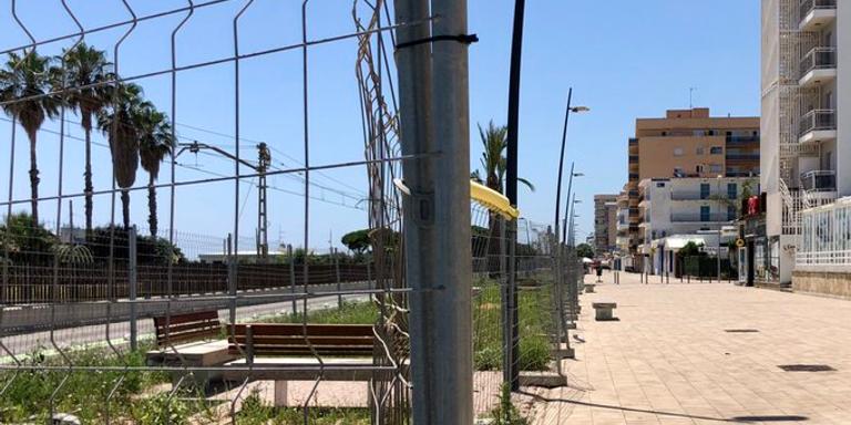 [ÀUDIO] Es col·locaran 50 arbres mitjans per fer ombra al Passeig Marítim aquest estiu