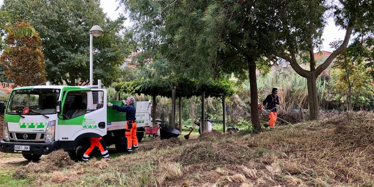 [ÀUDIO] Malgrat de Mar renova les 4 Flors d'Honor de Viles Florides