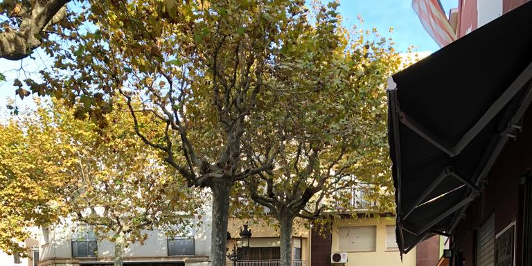 La restauració podrà obrir dilluns fins les 21:30h sense límit d'aforament a les terrasses