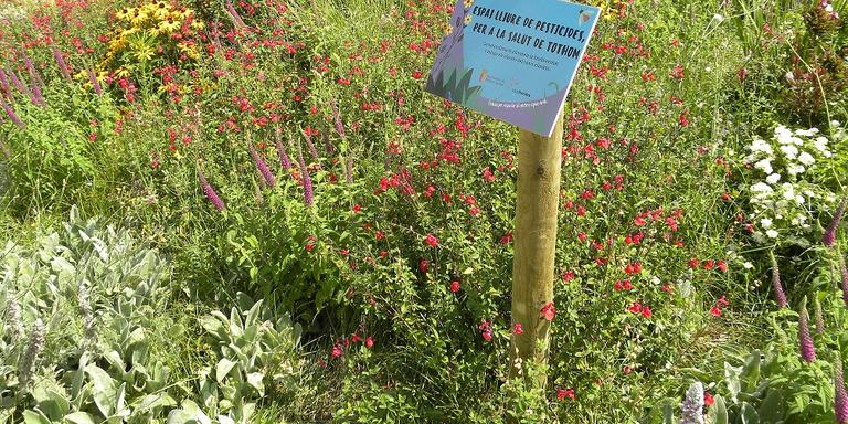 [ÀUDIO] Carles Garcia: "Sense la biodiversitat no podríem viure"