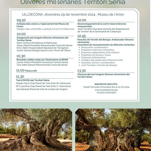 12è Congrés d'Oliveres Mil·lenàries del Territori Sénia: una cita històrica al Museu Natural d'Ulldecona