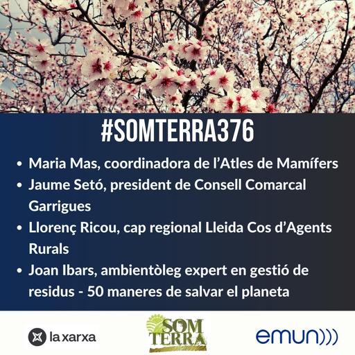 Som Terra 376