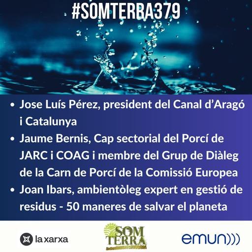 Som Terra 379