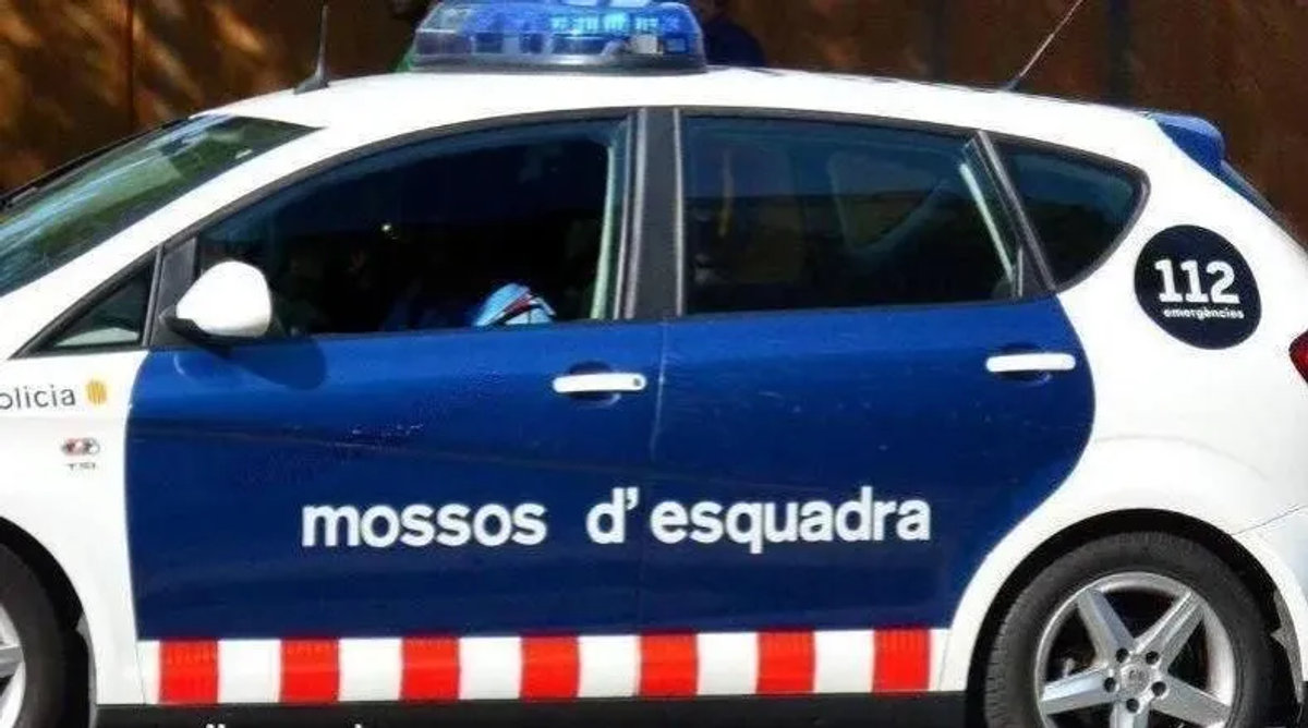 Uns veïns retenen un home i un menor d'edat que havien entrat a robar en una casa de la Palma d'Ebre