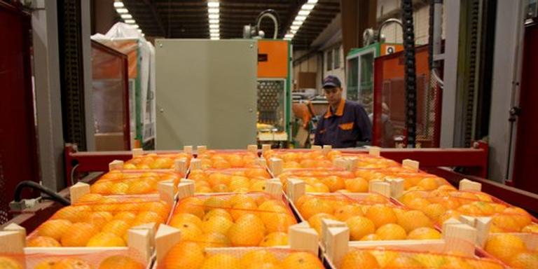 Les exportacions de la demarcació de Tarragona creixen un 33% entre gener i setembre, fins als 7.070 MEUR