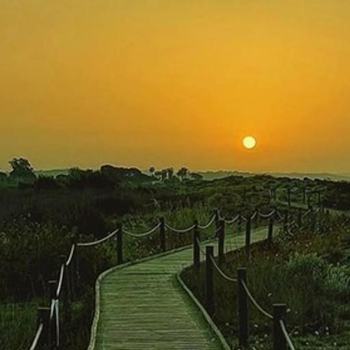 Récord de nits tropicals a Torredembarra durant la passada primavera