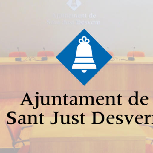Ple extraordinari per aprovar l’acta de l’últim ple ordinari del mandat