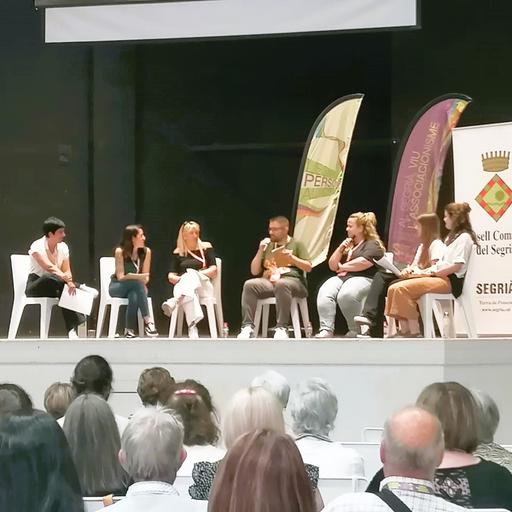 Cansades per la burocràcia, però amb ganes de tirar endavant: la situació actual de les entitats i associacions al Segrià.