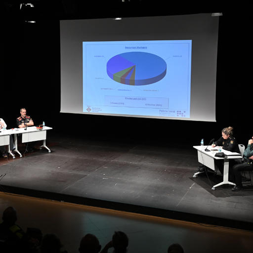 Els delictes es redueixen un 15% a Sant Quirze del Vallès el darrer any