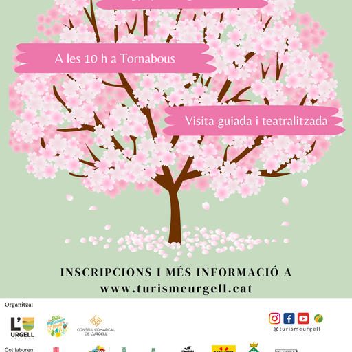 Continuen les activitats relacionades amb la floració a l’Urgell durant el mes d’abril