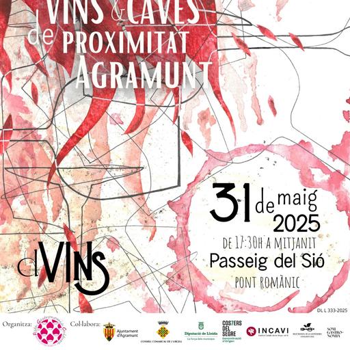 Més de 170 referències de vi de la DO Costers del Segre, a l’onzè DVins