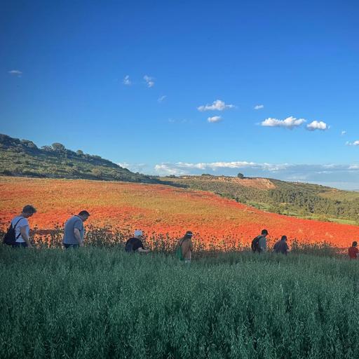 Eixarcolant impulsa la biodiversitat i diversificació de cultius de secà a la Serra de Bellmunt-Almenara