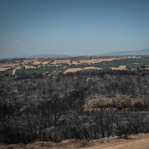 Controlat l’incendi de Torrefeta i Florejacs