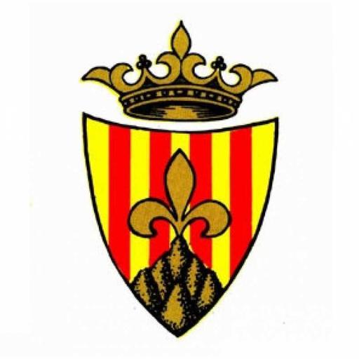 Convocatòria de ple extraordinari per avui, dijous, 3 de juliol