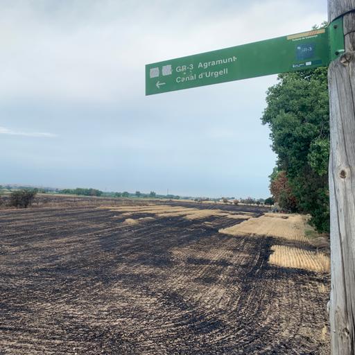 L’incendi de Torrefeta i Florejacs, en fase de control
