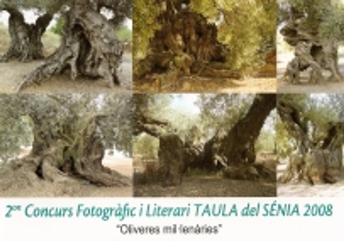 oliveres-llibre