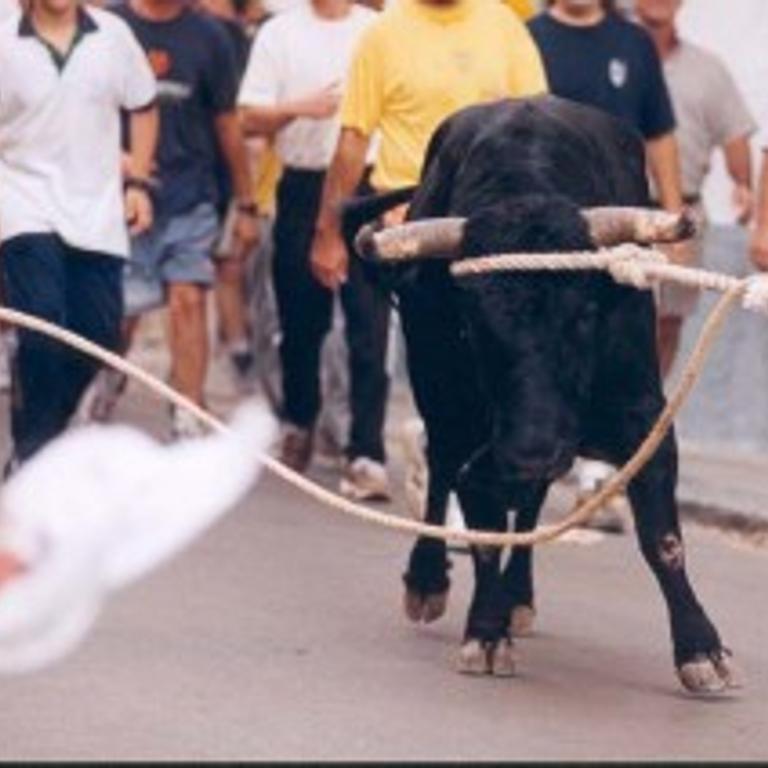 Augmenta el públic dels actes taurins de les Terres de l'Ebre