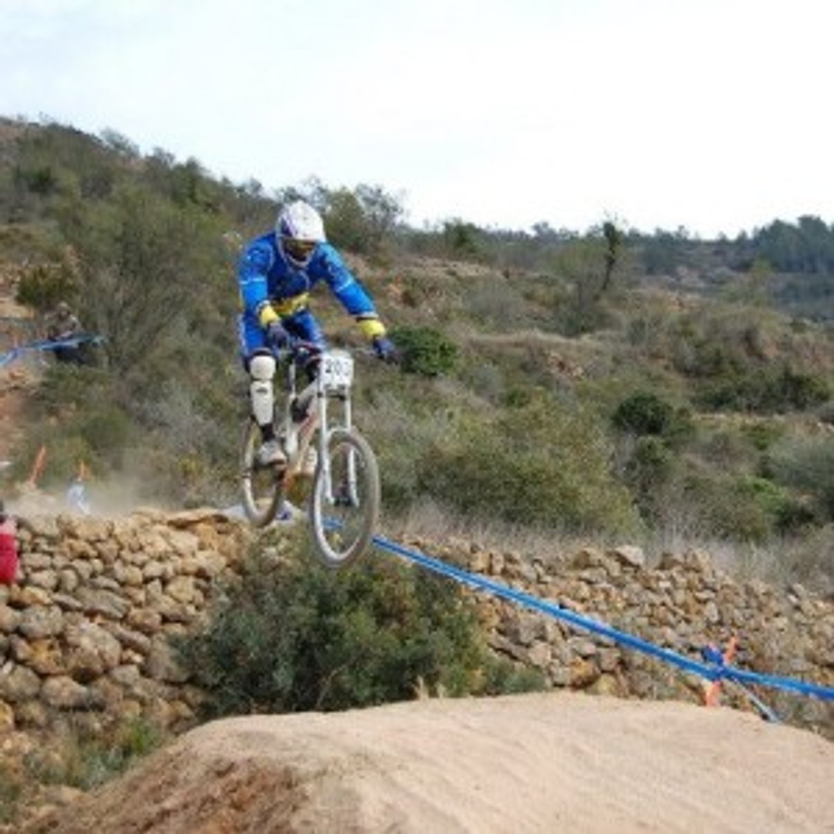 manel arasa