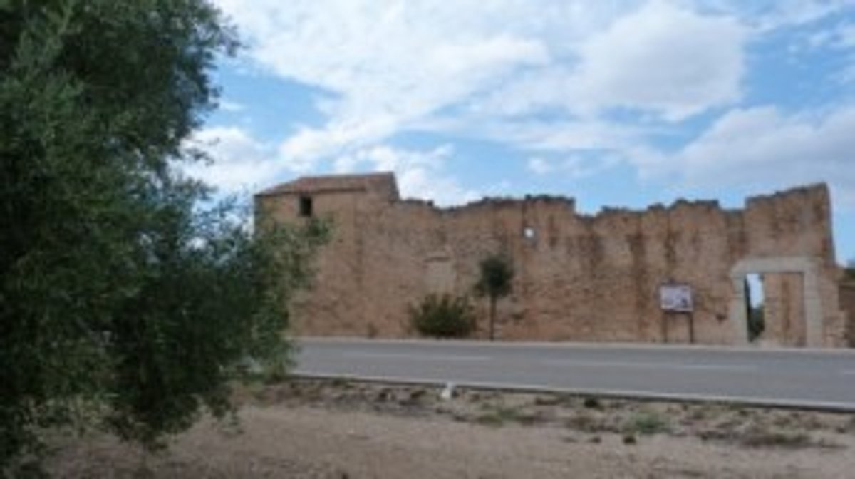P1050057