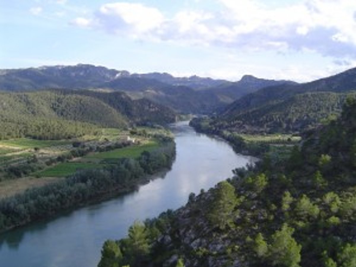 riu