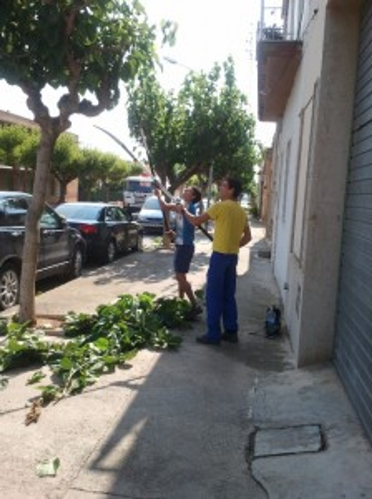 Foto: Participants programa Suma't