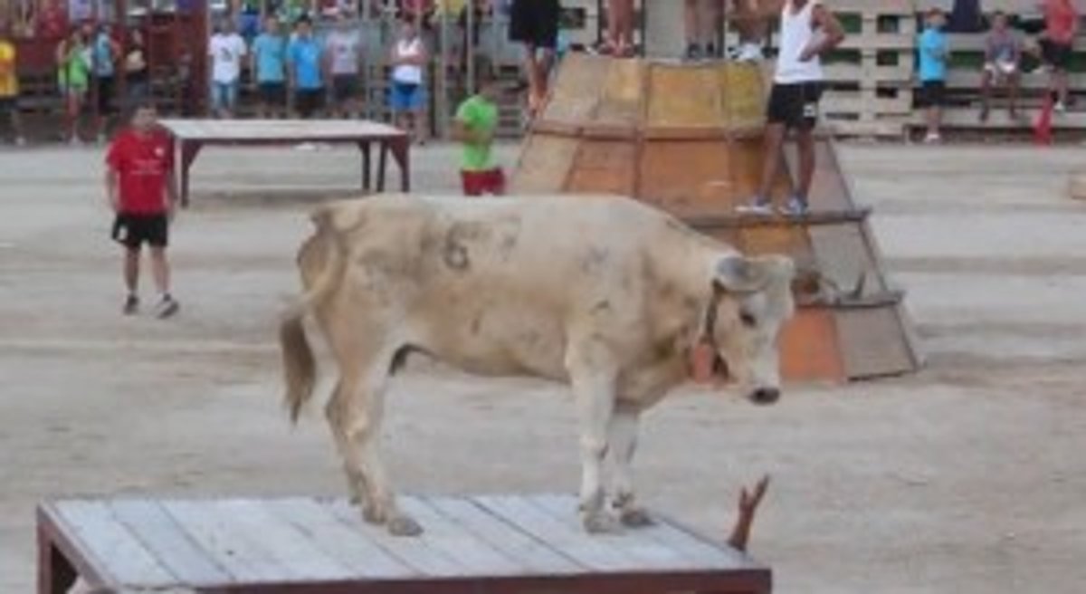 capturada