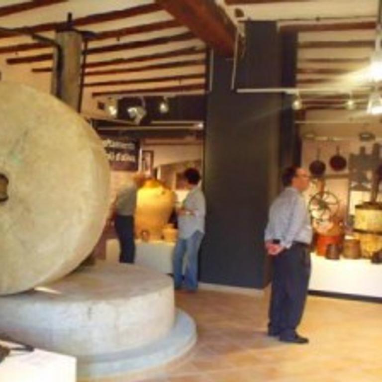 El Museu de la Vida a la Plana,forma part d' un programa comarcal de Formació Dual