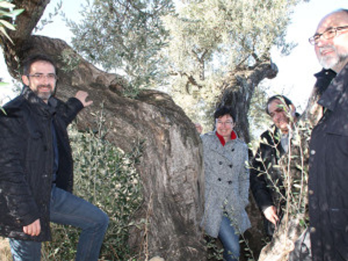valderrobres-06-02-14