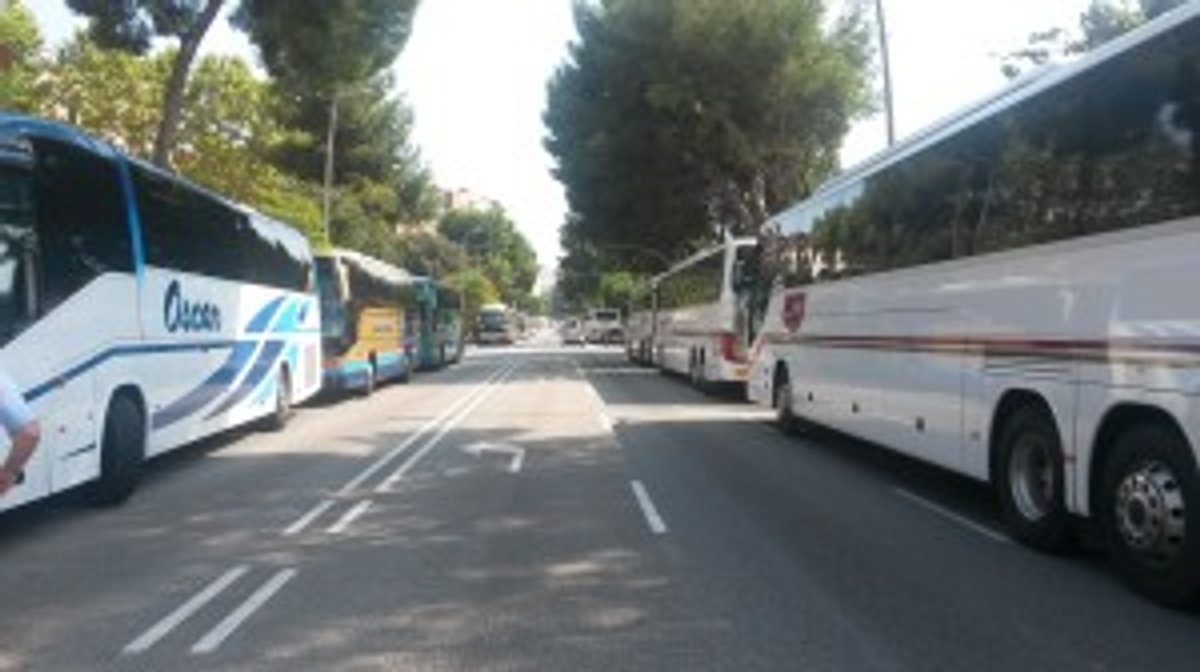 bus