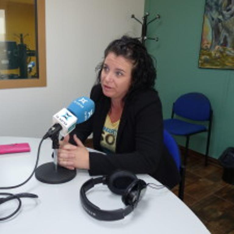 Godall no va arribar a temps per a debatre la moció sobre la consulta.