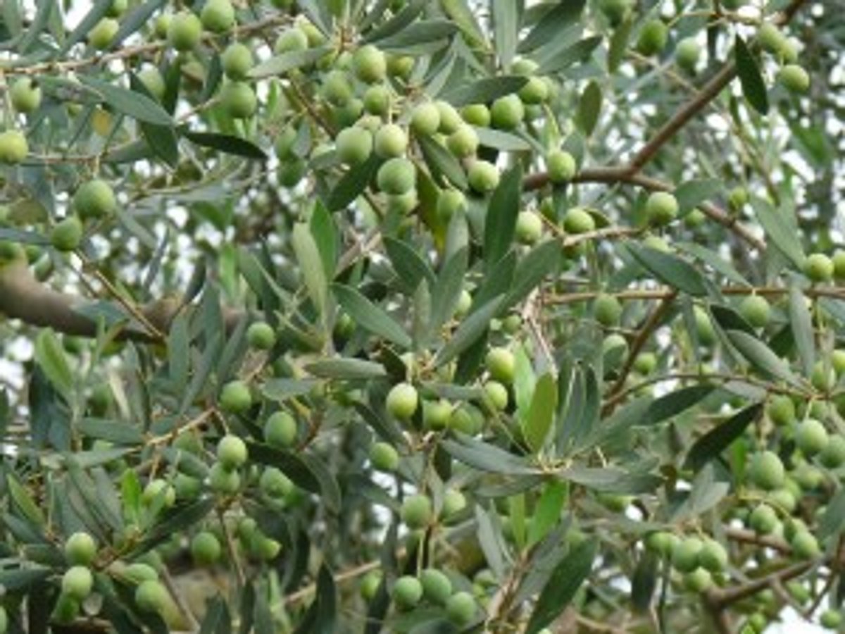 P1020389