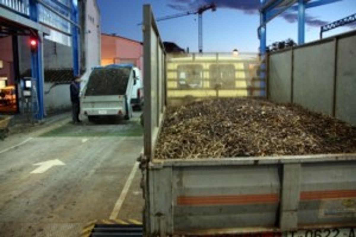 COOPERATIVA MOLL DESCARREGA